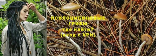 спайс Волосово