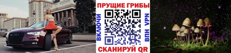 блэк спрут зеркало  Мариинск  Псилоцибиновые грибы прущие грибы 
