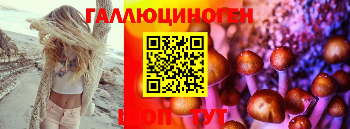 Галлюциногенные грибы GOLDEN TEACHER  Галлюциногенные грибы Psilocybine cubensis  Вход с VPN  Мариинск 