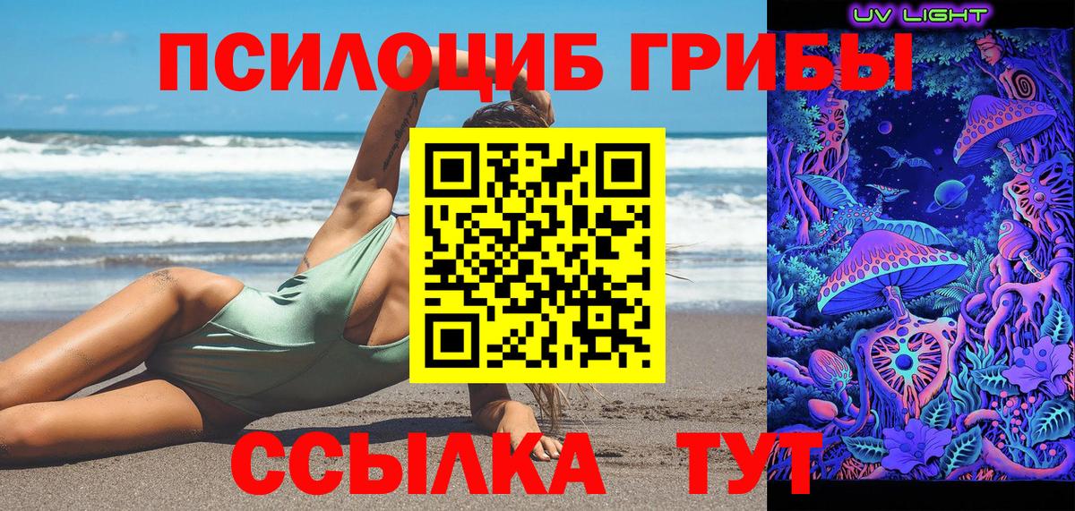 Галлюциногенные грибы Cubensis Мариинск